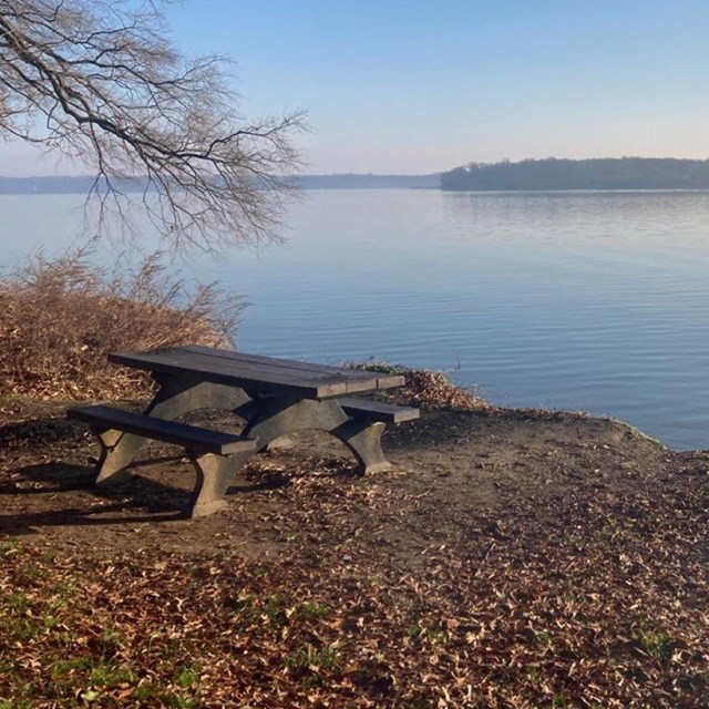 A picnic table by the water