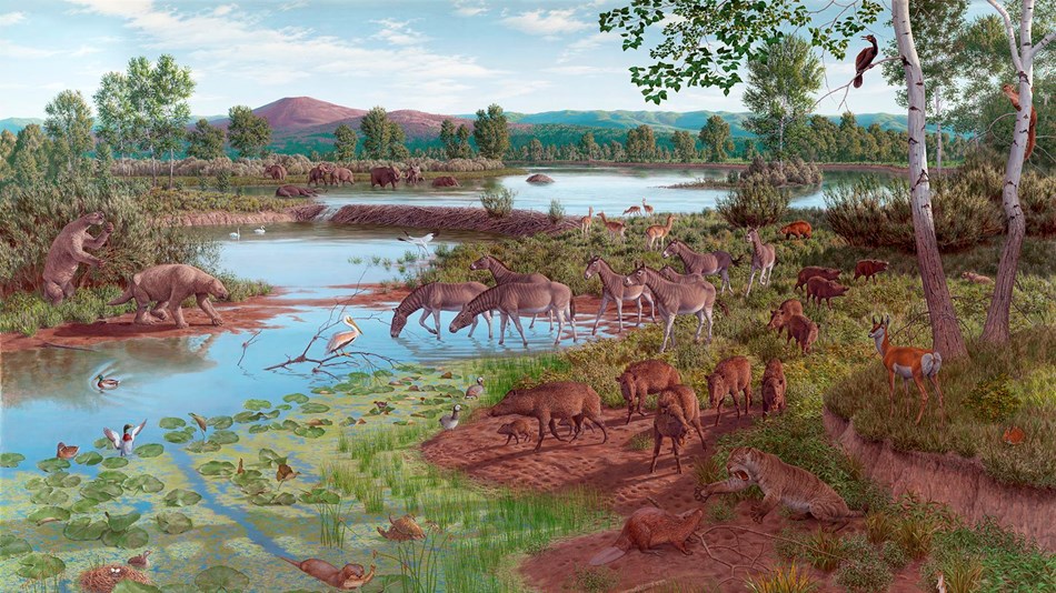 A mural shows a wetland habitat with horses, mastodons, and dozens of other species