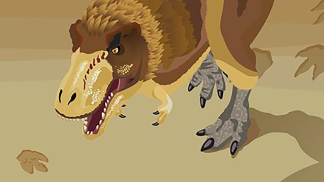 Illustration of a T-rex dinosaur