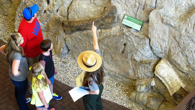 Photo of a park ranger showing fossils to park visitors