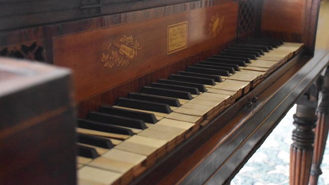 A line of piano keys fills up the image. 