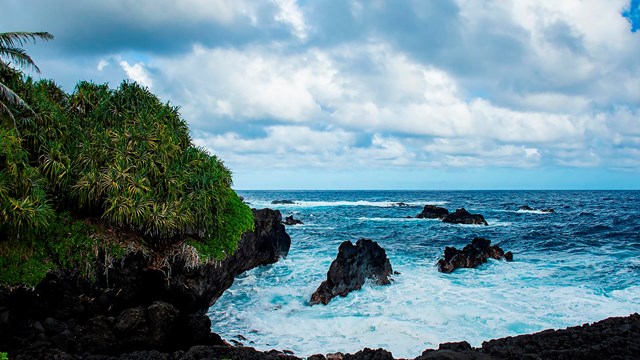 blue ocean meets black rock at a cove with lush greenery
