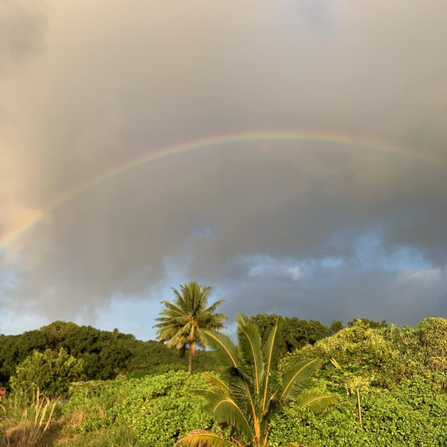 a rainbow arcs over a green jungle