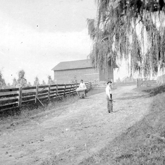 Workers at Hampton farm