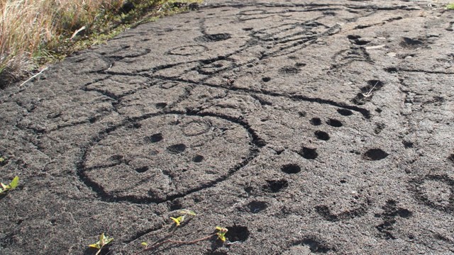 A petroglyph of a circular shape in gray rock