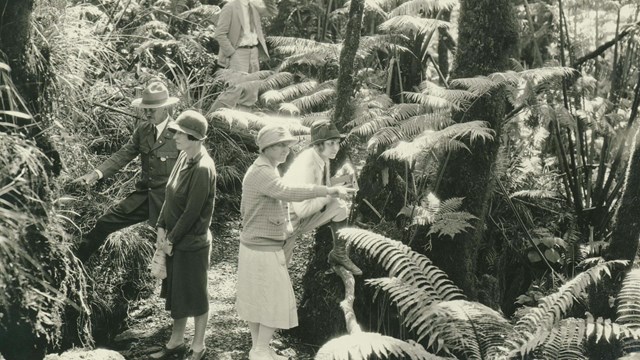 A historic image of a ranger in a rainforest with visitors. 