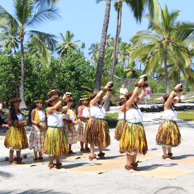 Women dance hula on beach surrounded by palm trees