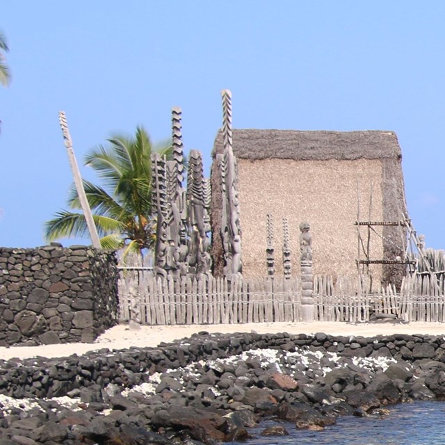 a boat with a white sail approaches short with palm trees and grey thatched roof buildings