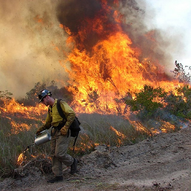 Fireman performing controlled burn