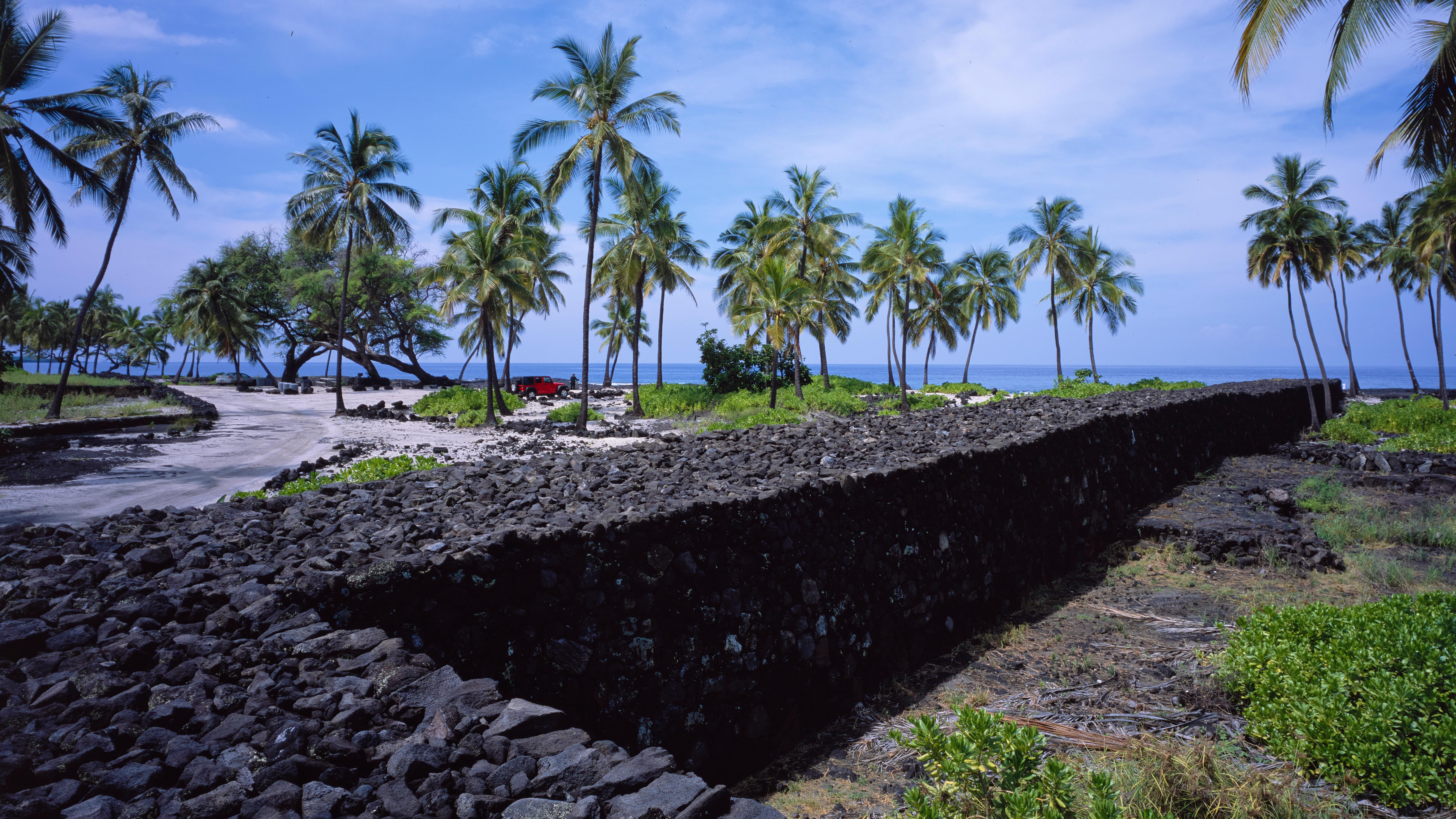 Lava rock wall with palm trees and ocean in distance