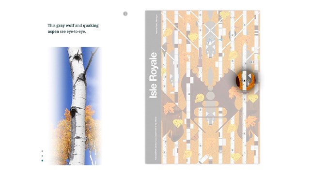 Screenshot of webpage showing white-barked tree and detail of aspen painting