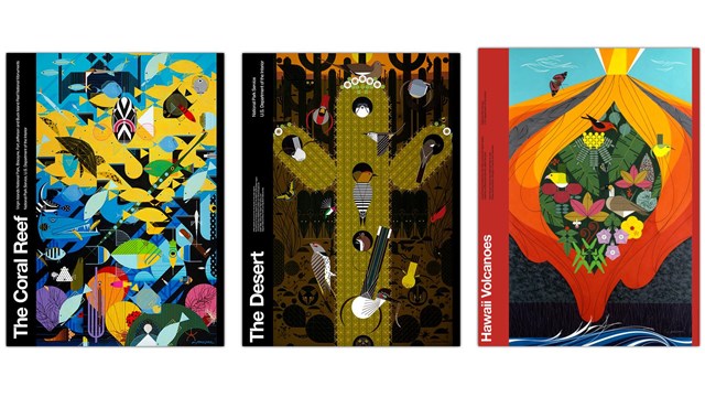 Collage of three posters with illustrations of coral reefs, the desert, and Hawaii volcanoes