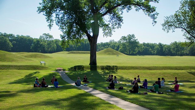Several people sitting on the grass in front of mounds and a large tree
