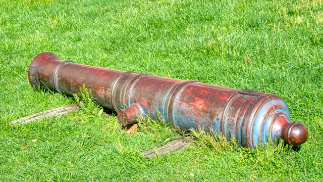 Cannon sits in grass.