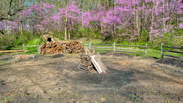 Fence encircles charcoal pit and top of collier hut is visible in background