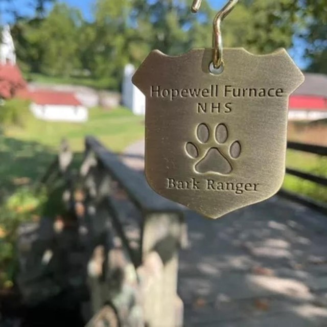 B.A.R.K. Ranger medallion in foreground with blurry village in background