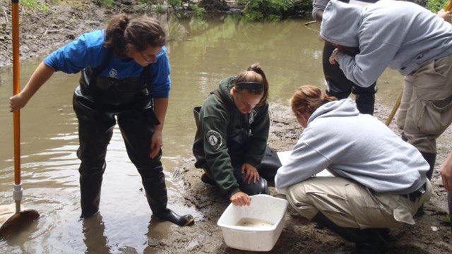 Six volunteers work in Cub Creek to gather data.