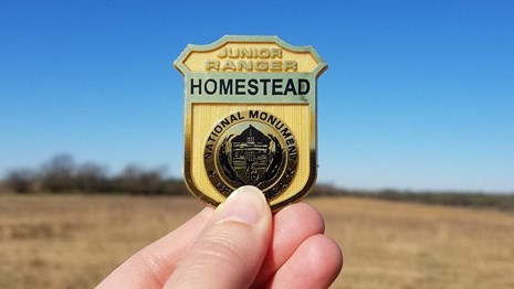 19+ Homestead Badge Pics