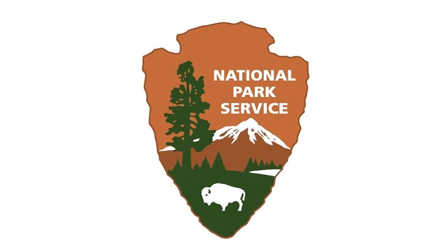 NPS logo