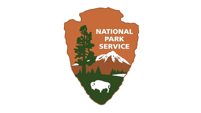 NPS logo
