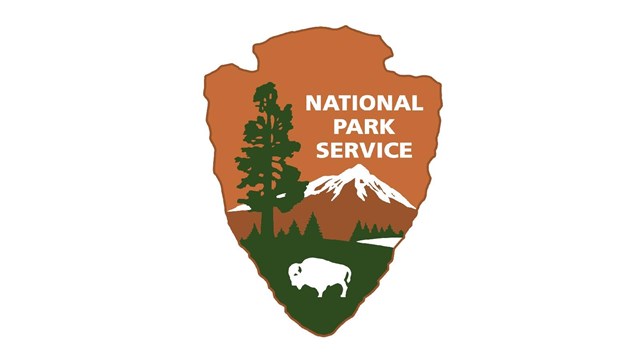 NPS logo