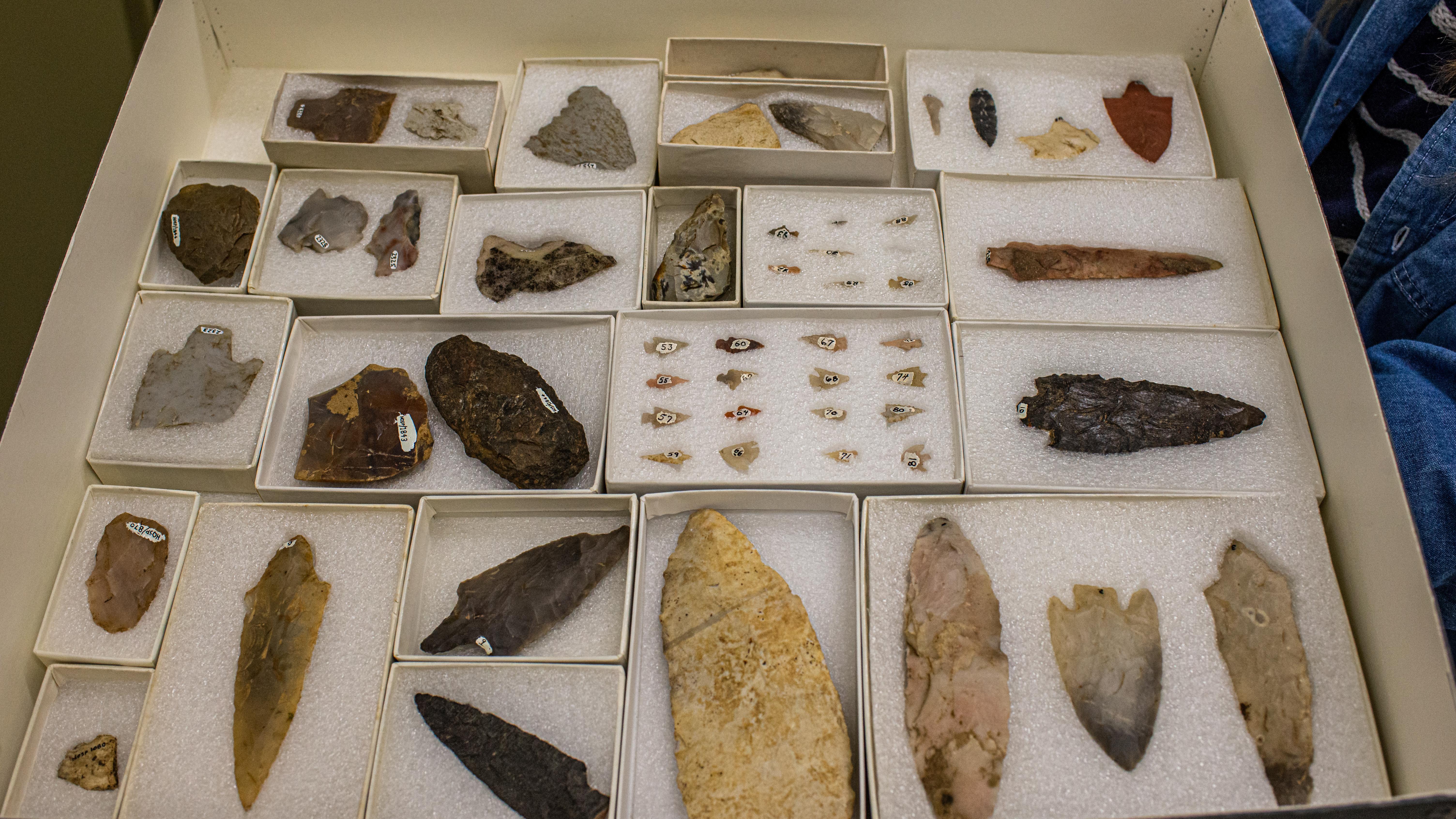 Dozens of boxes of various arrowheads and stone spearpoints sitting in a drawer.