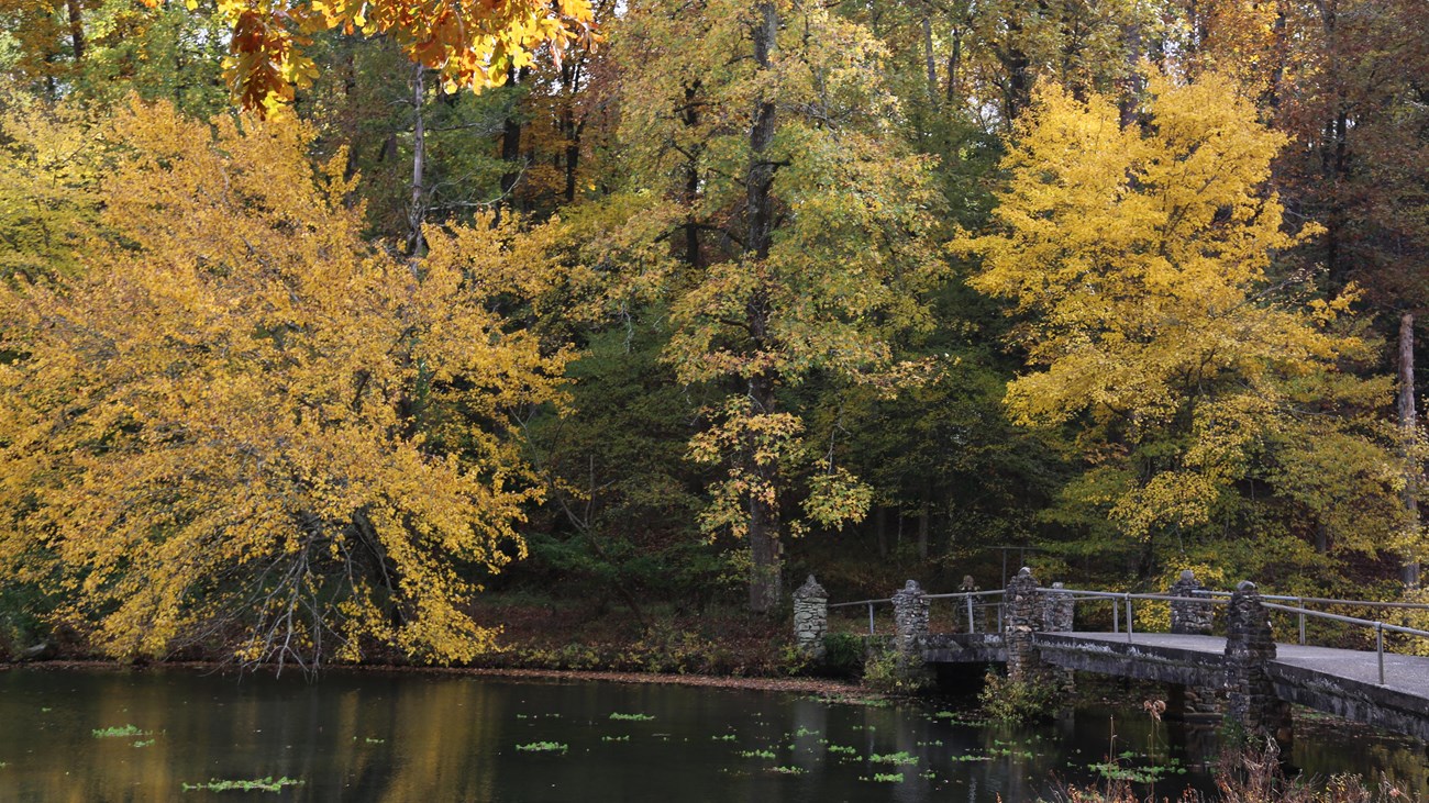 Orange and yellow leaves surround a body of water with a stone bridge.