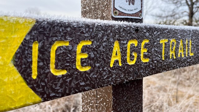 Photograph of a frost covered sign with "Ice Age Trail" in yellow lettering