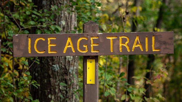 Photograph of brown trail sign with "Ice Age Trail" written in yellow letters. 