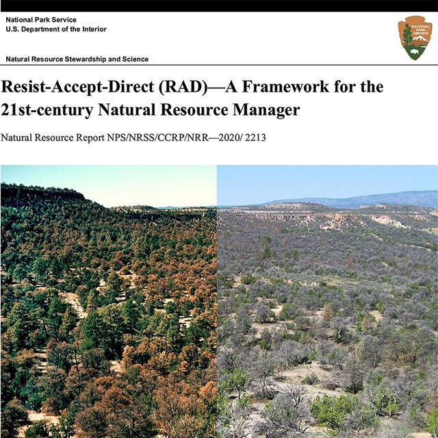 The cover of the document describing the RAD framework.