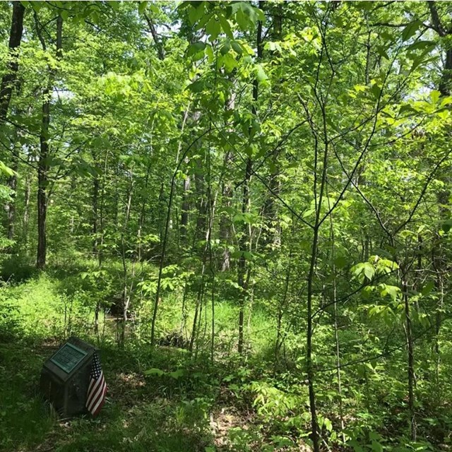 A commemorative marker in the forest of Gettysburg