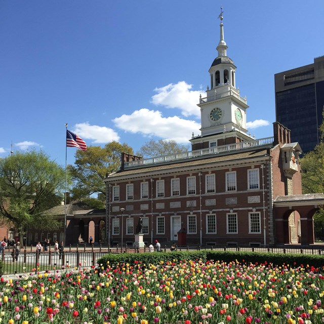 Color photo showing a garden of tulips in the foreground with Independence Hall visible behind.