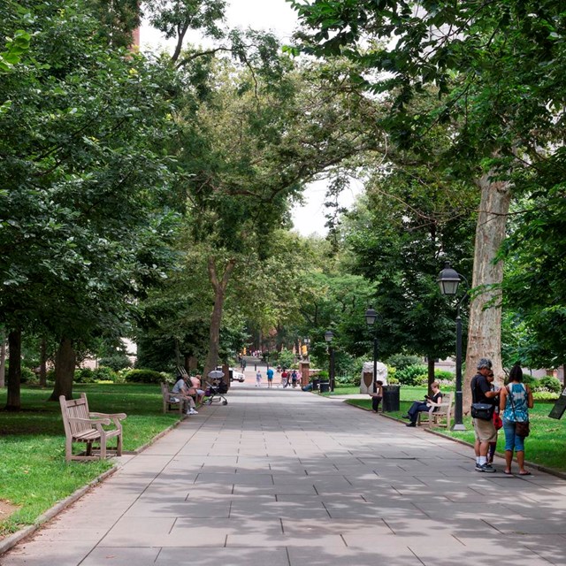 Color photo of a wide path lined with trees and benches.