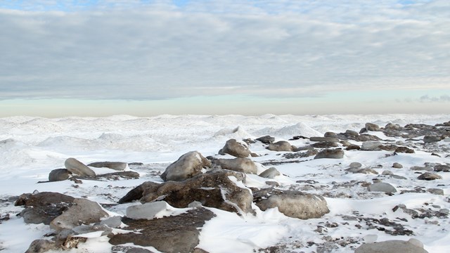 Shelf Ice at Indiana Dunes