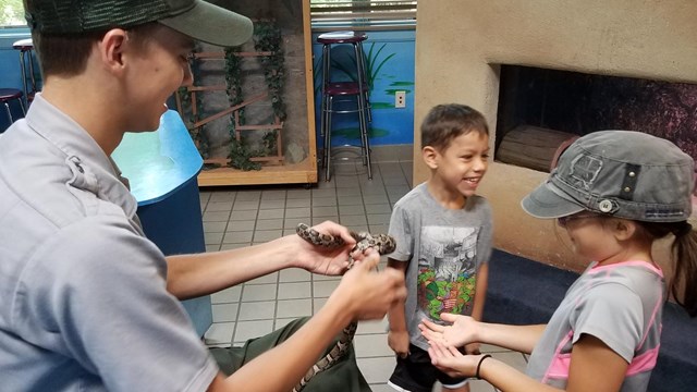 Teachers & Educators