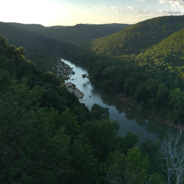 a river runs through a dense forest