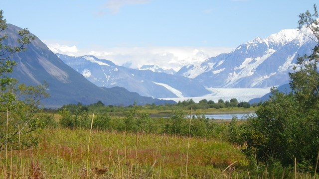 A scenic view of a lake within Glacier Bay. 