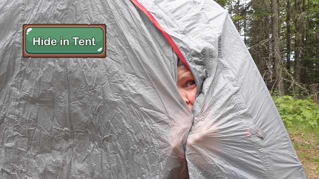 A person nervously peers out of a tent.
