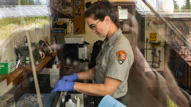 Ranger works in water quality plant in Rock Harbor.