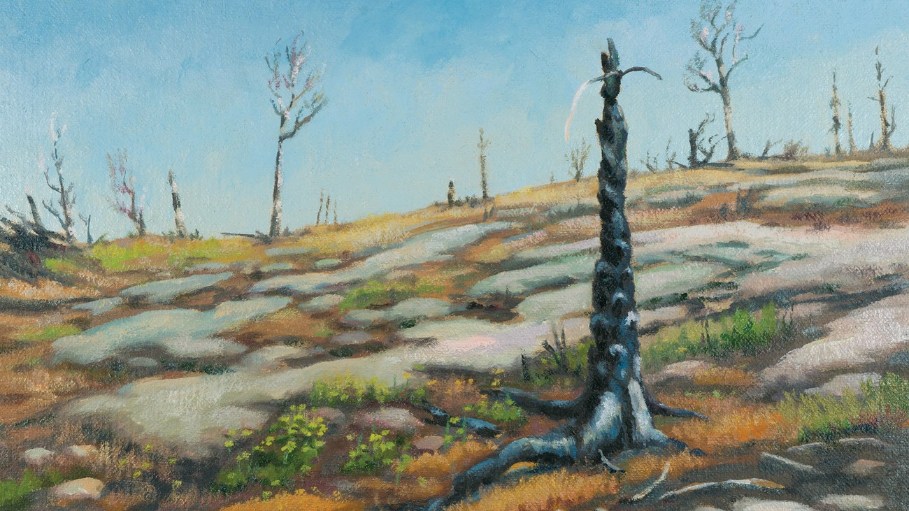 An oil painting of a burnt snagged tree on a grassy ridge.