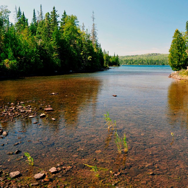 muddy looking water at Caribou Island