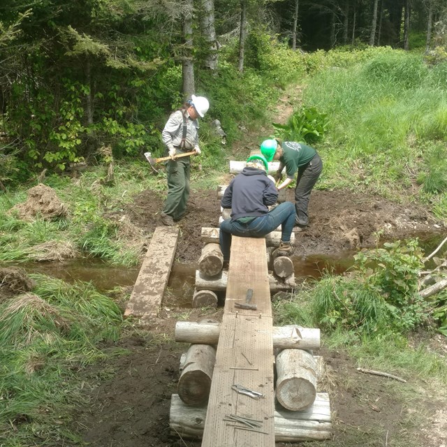 Two trail maintenance workers repairing a wooden bridge on trail. 