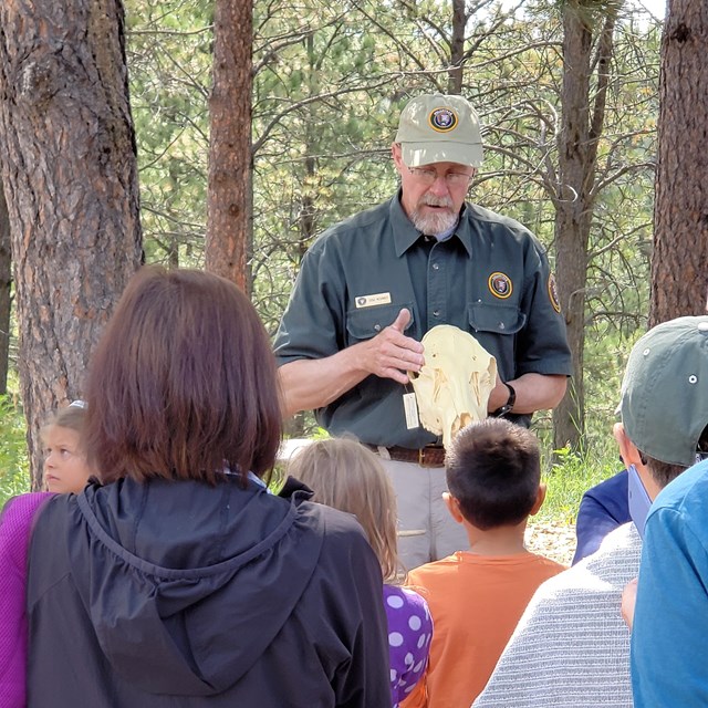 A volunteer ranger holds an animal skull up for several youth to view.