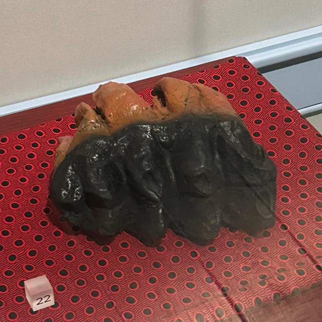 A black and brown object on a red and black patterned fabric