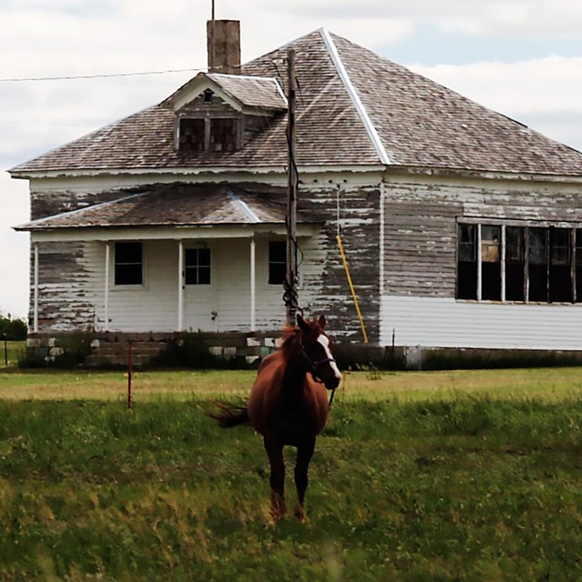 An old building with some horses in front of it
