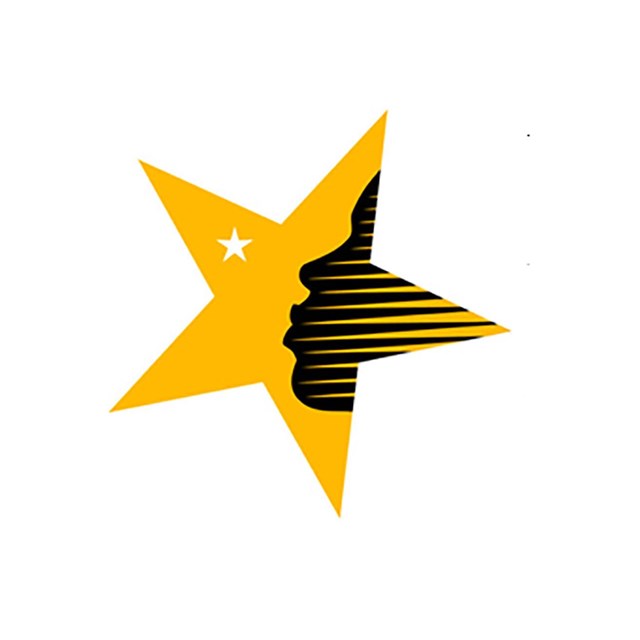 A logo: A yellow star with shading on the right side of it that resembles a girl's face