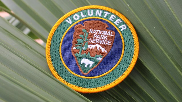 A NPS volunteer patch laying on green palmetto fronds.