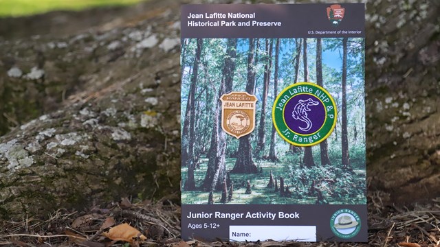 A junior ranger book, patch, and badge perched at the base of a tree.