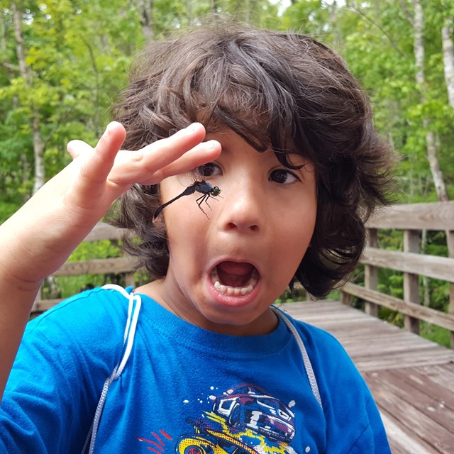 Young boy, eyes widened and mouth agape, looks at a dragonfly on his finger.