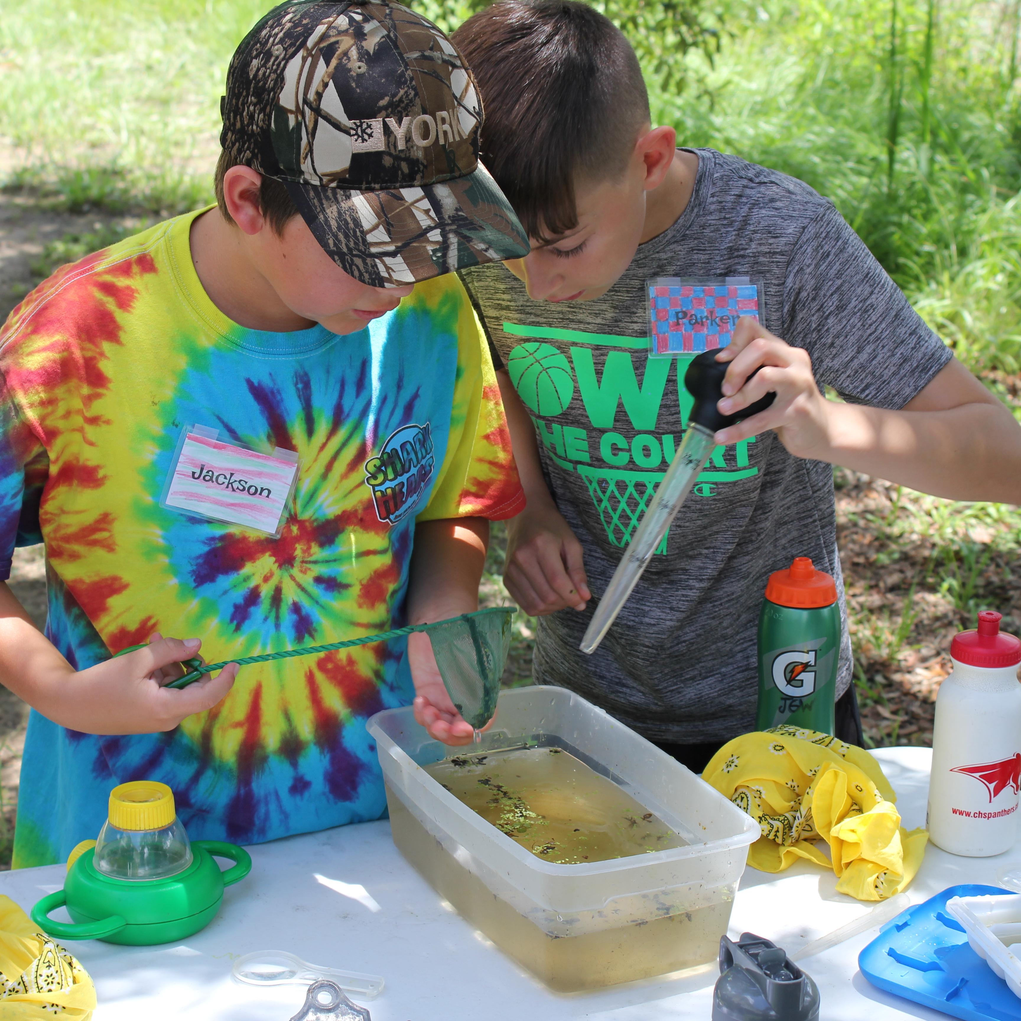 Two boys peer into a bin of murky water and hold pipettes.